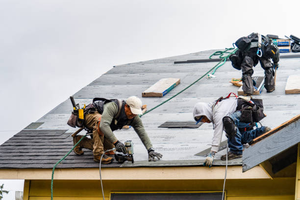 Professional Gutter Installation technician working in Augusta, IL